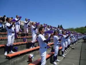 第140回北信越地区高等学校野球新潟県大会（３）